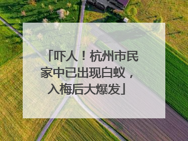 吓人！杭州市民家中已出现白蚁，入梅后大爆发